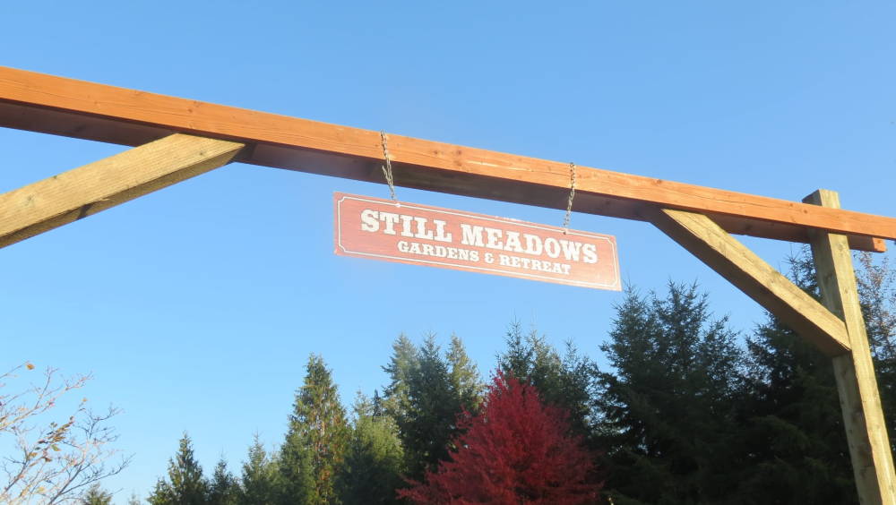 Read more about the article A New Year calls for a New Name